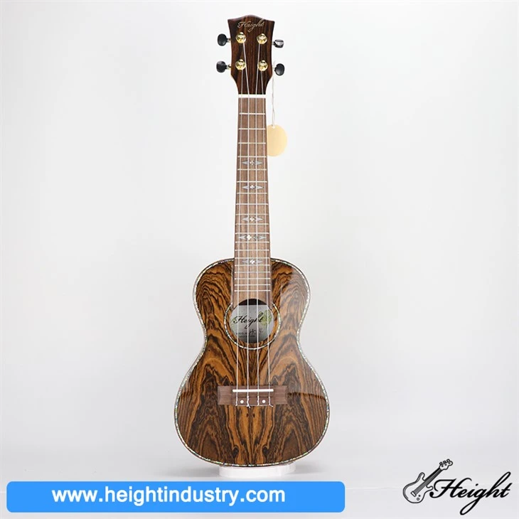 Đàn Ukelele Bass 23inch Bodydiy Trung Quốc